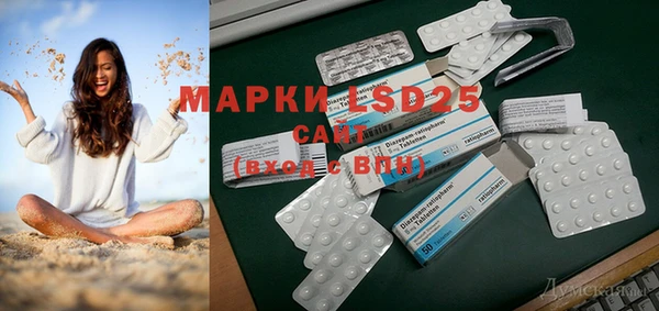 стаф Баксан
