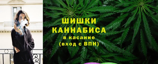 стаф Баксан