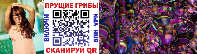 Псилоцибиновые грибы прущие грибы Чекалин