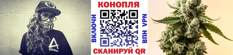 как найти наркотики  Чекалин  это официальный сайт  МАРИХУАНА Ganja 